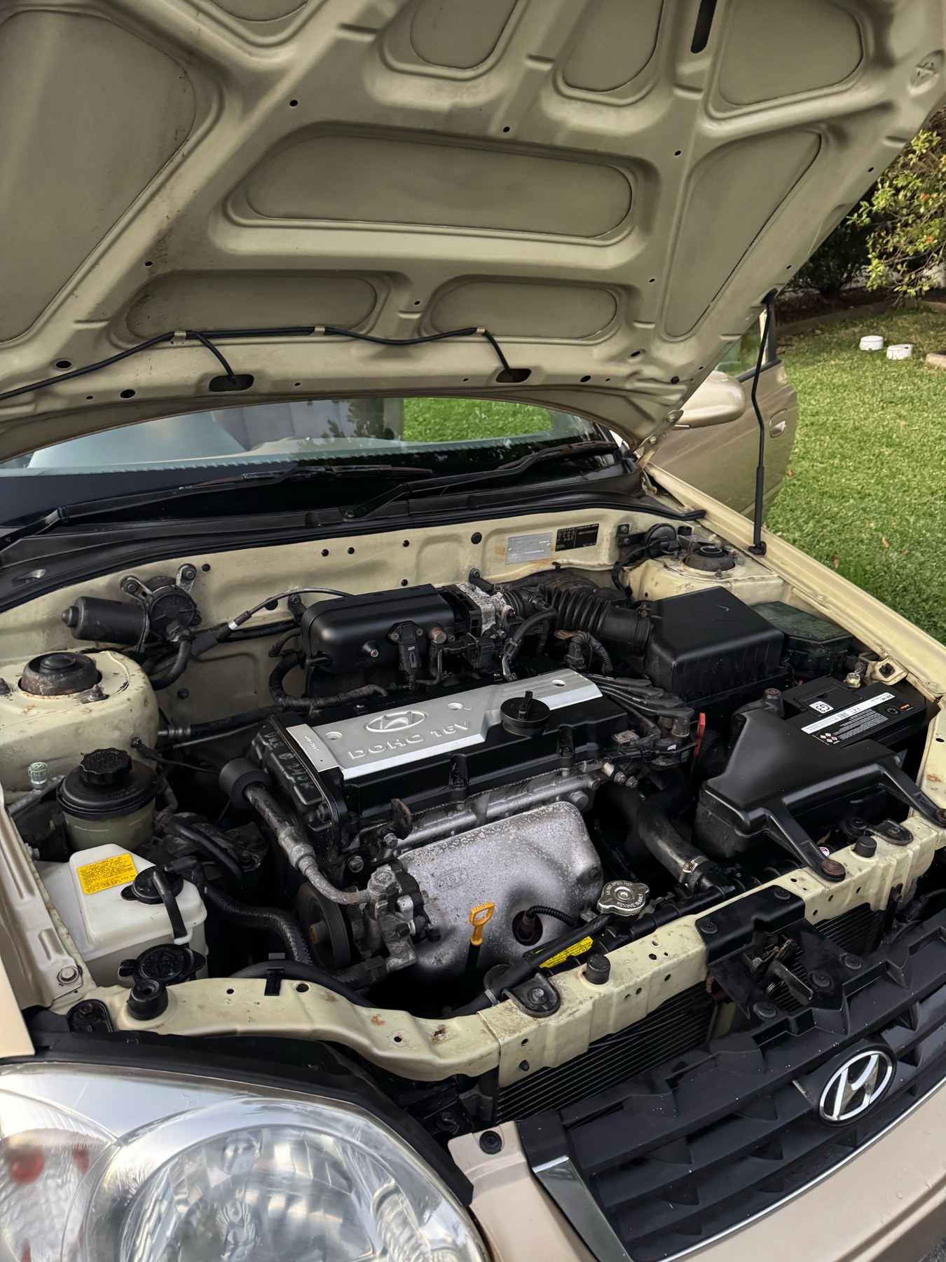 Engine bay after detail